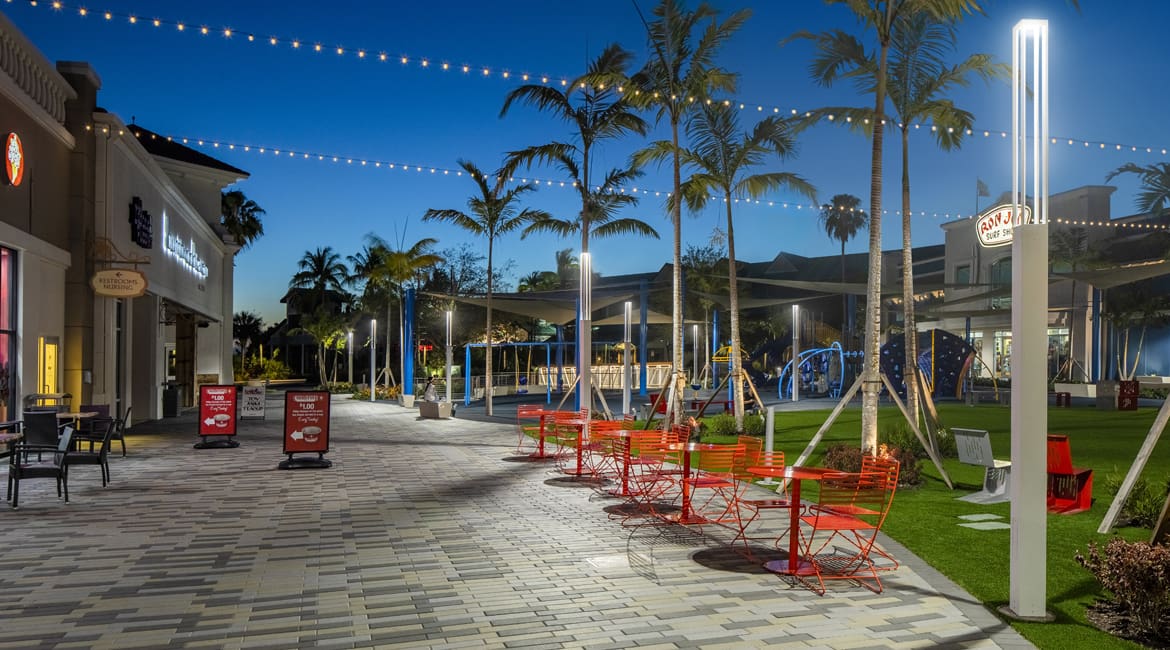 A park with benches and palm trees at night.